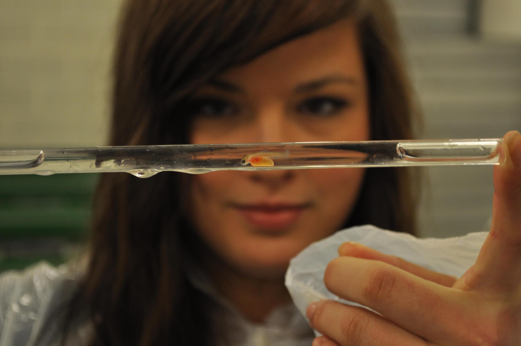 dame holder rør med fiskeyngel